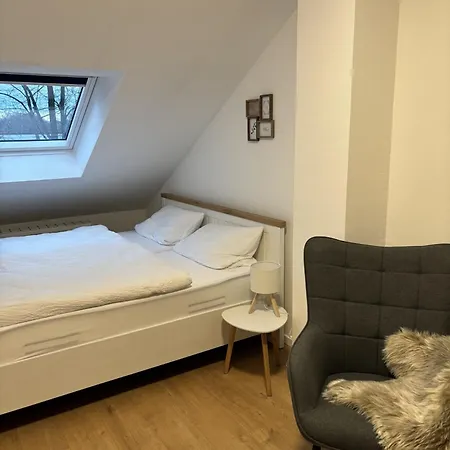 Apartmán Stilvolle Zum Wohlfuehlen- Zentral Und Ruhig Chemnitz (Saská Kamenice)