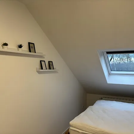 Stilvolle Zum Wohlfuehlen- Zentral Und Ruhig Chemnitz