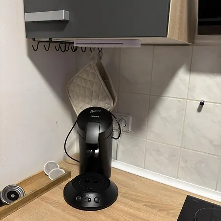 Stilvolle Zum Wohlfuehlen- Zentral Und Ruhig Chemnitz