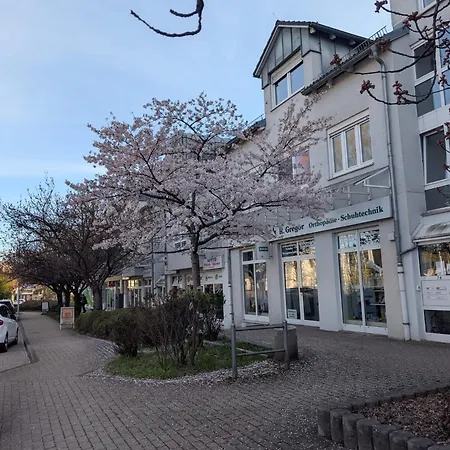 Stilvolle Zum Wohlfuehlen- Zentral Und Ruhig * Chemnitz