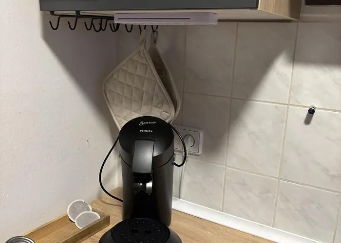 Stilvolle Zum Wohlfuehlen- Zentral Und Ruhig Chemnitz