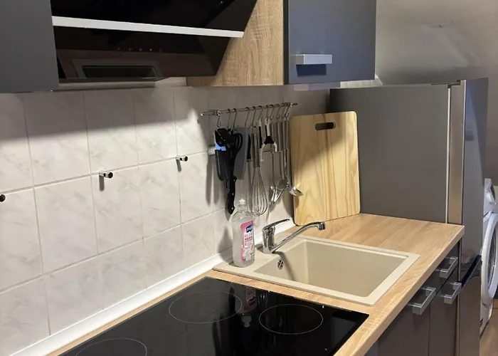 Stilvolle Zum Wohlfuehlen- Zentral Und Ruhig * Chemnitz